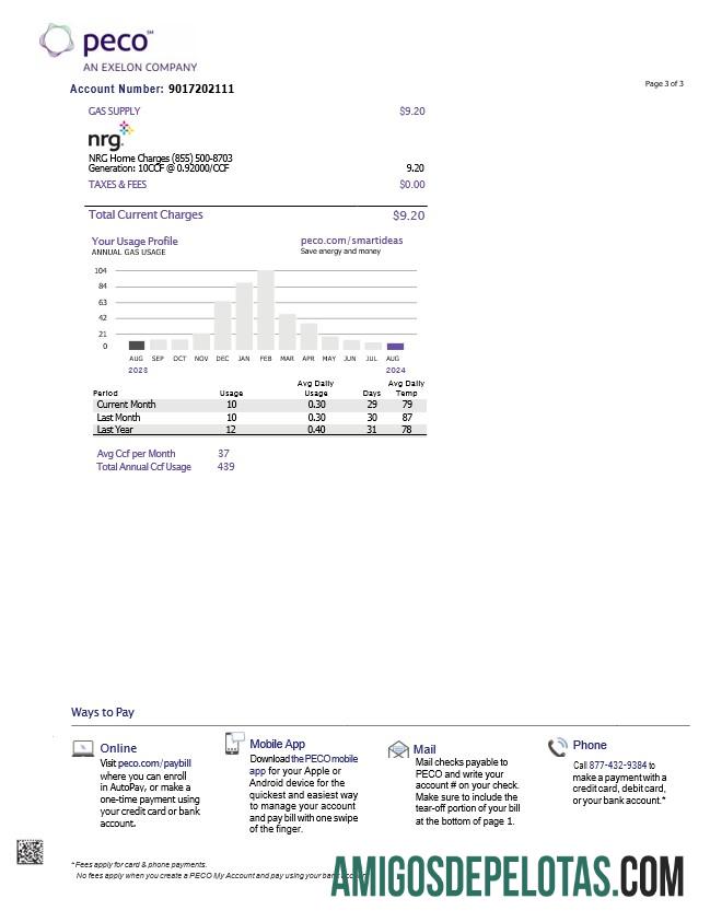 Conta de serviços públicos de eletricidade e gás PECO da Pensilvânia, EUA, 3 páginas 2 baixar para verificação